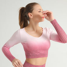 Load image into Gallery viewer, Female Yoga Set Long Sleeve Hollow Tops And High Waist Control Sport Leggings Gym Clothes Seamless Sport Suit Can be alone buy
